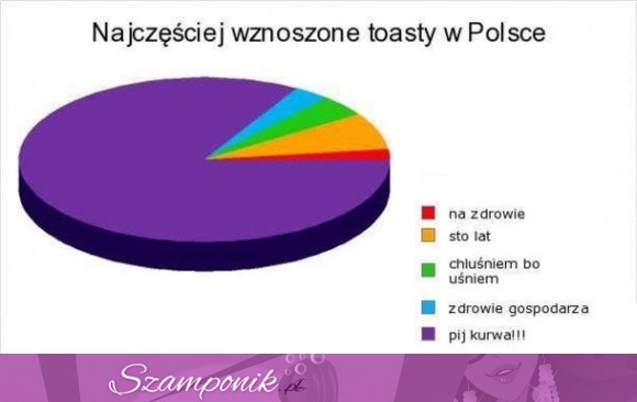 Zobacz najczęstrze wnoszone toasty w Polsce, ostatni najlepszy! :D
