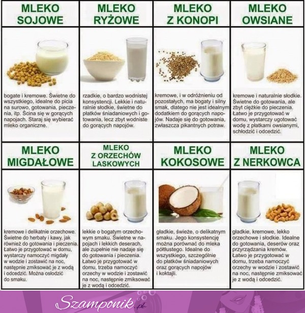 Alternatywy dla mleka krowiego. Zobacz czym wyróżniają się mleka roślinne