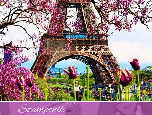 Paryż wiosną- cudnie!