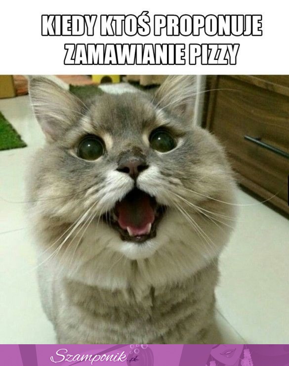 PIZZA!