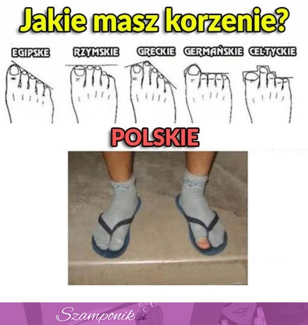Polskie korzenie