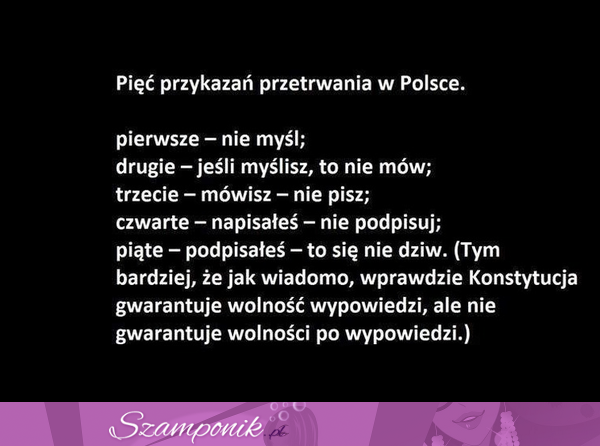 Zobacz 8 przykazań przetrwania w Polsce, haha dobre!