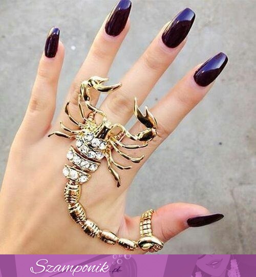 Skorpion jako pierścionek- mega!