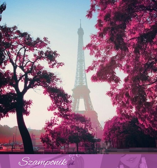Ahhh cudowny Paryż