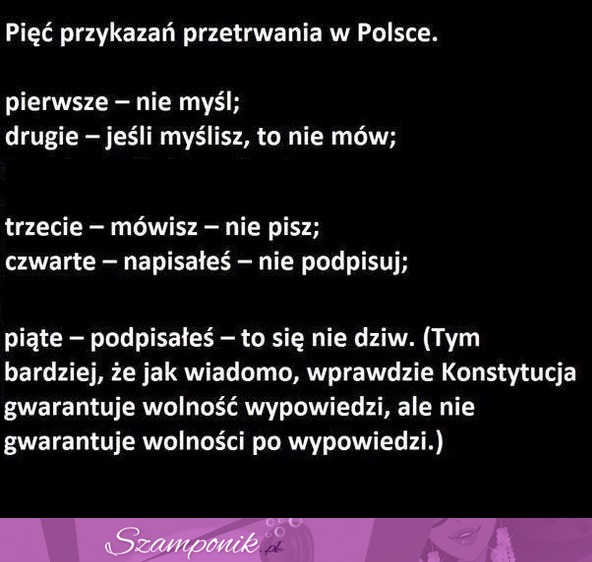 Pięć przykazań przetrwania w Polsce, PIĄTE boli najbardziej!