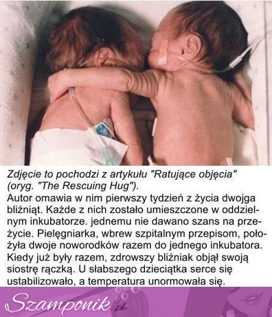 Aż ciężko uwierzyć... To takie piękne, zobacz historię noworodków :(