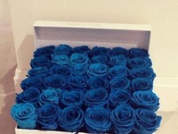 Niebieskie róże, wow!