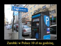 Zarobki w Polsce 10 zł za godzinę, parkowanie - 9 zł za godzinę...