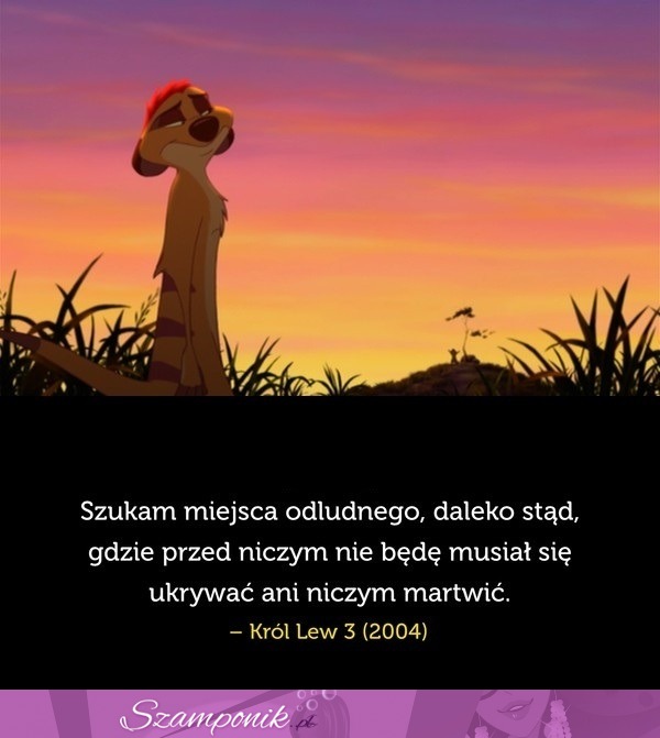 Szukam miejsca odludnego