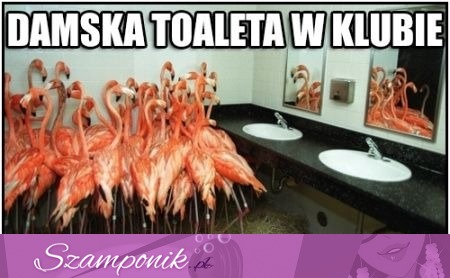 Damska toaleta w klubie