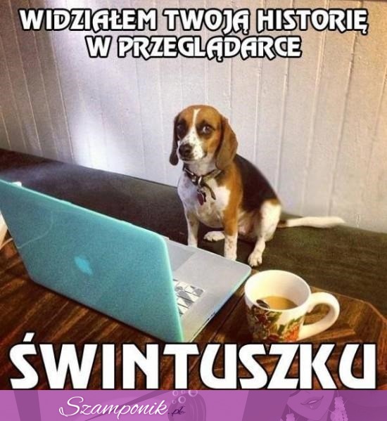 Świntuszku