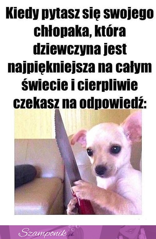 Cierpliwie czekasz