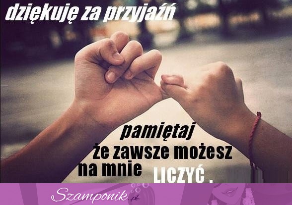 Dziękuję za przyjaźń