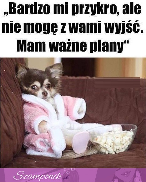 Przykro mi ale nie mogę wyjść ;D