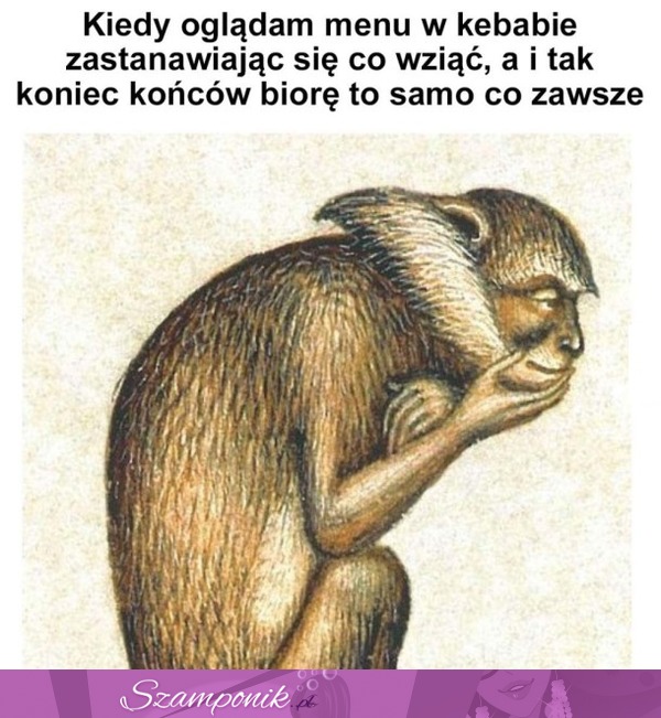 Zawsze tak jest