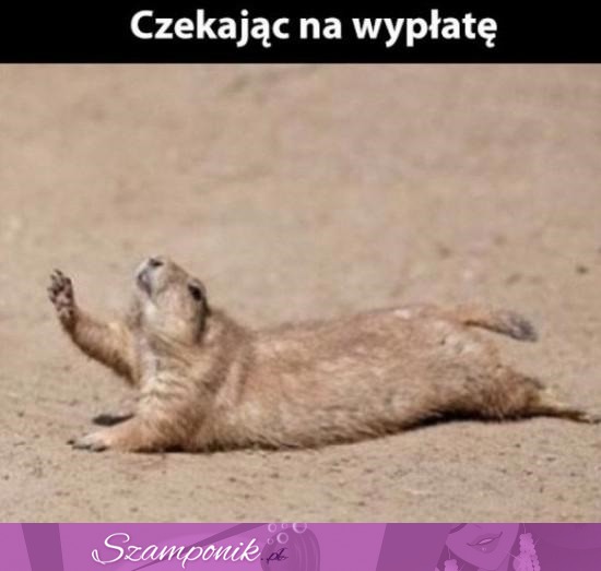 Czekając na wypłatę- cała ja ;P