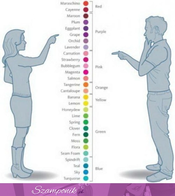 Jak widzą kolory kobiety, a jak mężczyźni? Śmieszne! ;D