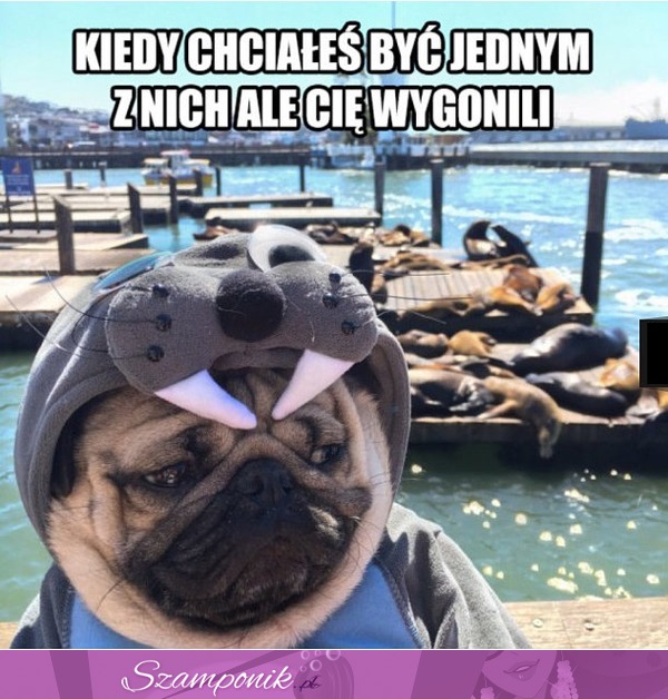 Kiedy chciałeś być jednym z nich