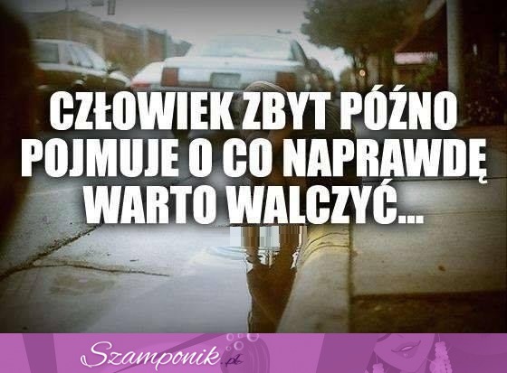 Człowiek zbyt późno