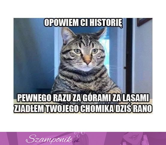 Opowiem Ci historię :)