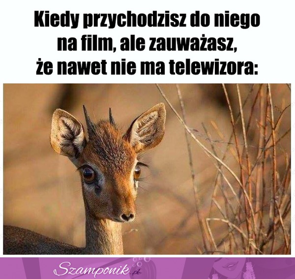 O nie...