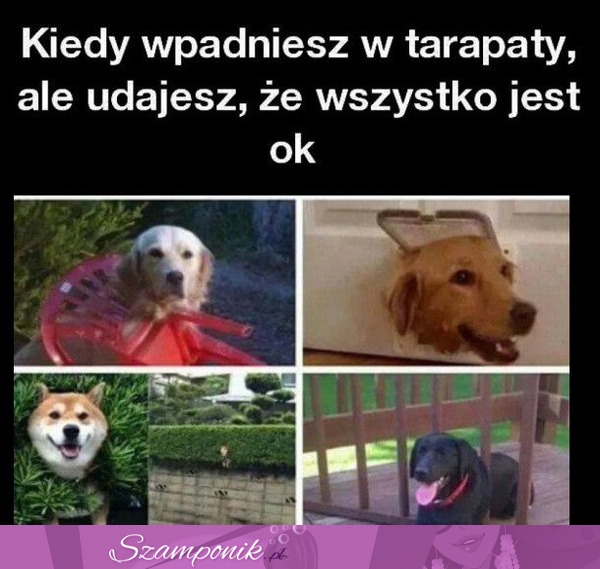 Nic mi nie jest