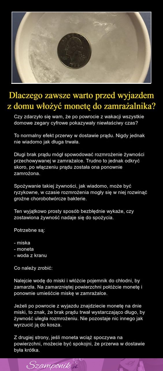 Dlaczego zawsze warto przed wyjazdem z domu włożyć monetę do zamrażalnika?