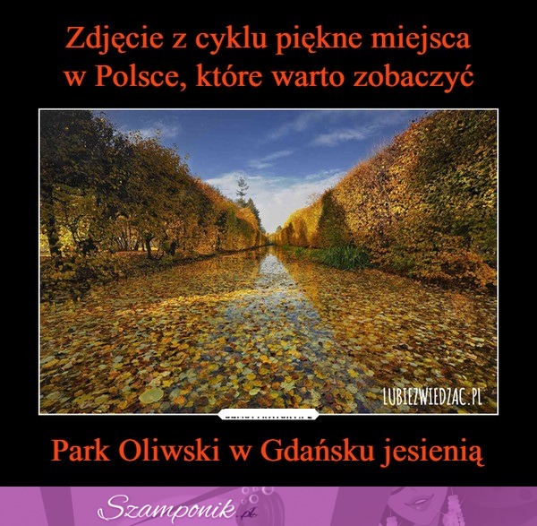 Pięknie <3