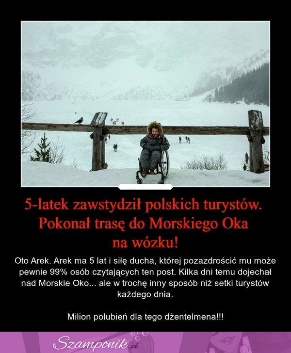 5-latek zawstydził polskich turystów! Pokonał trasę do Morskiego Oka na wózku!