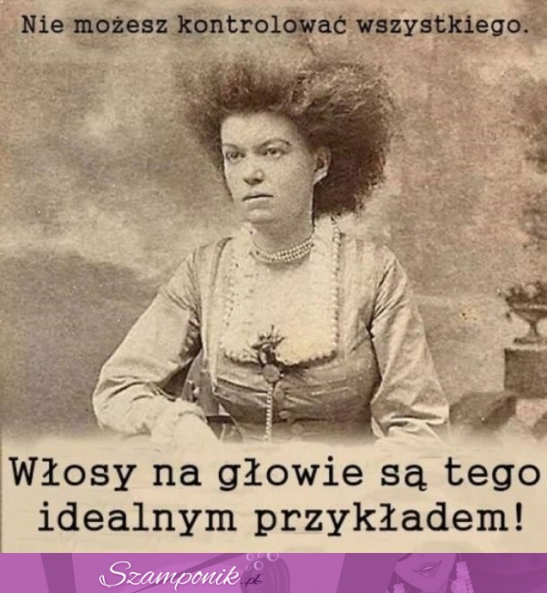 Włosy na głowie.