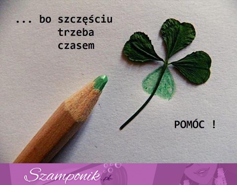 Szczęściu trzeba pomóc