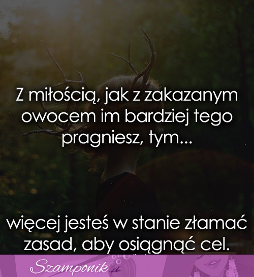 Z miłością, jak z zakazanym owocem