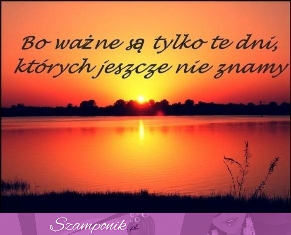 Bo ważne są tylko te dni