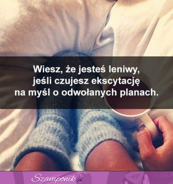 Wiesz, że jesteś leniwy jeśli...