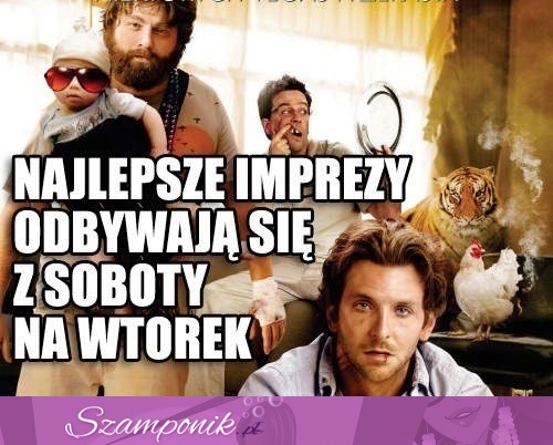 Najlepsze imprezy