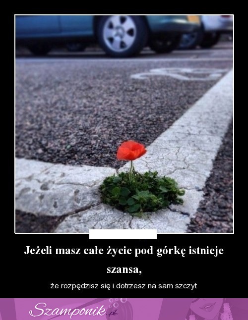 Jeżeli masz całe życie...