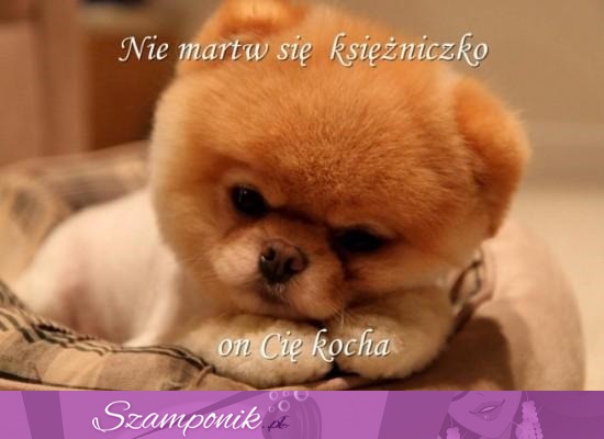 Nie martw się księżniczko!