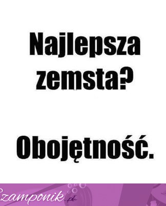 Najlepsza zemsta