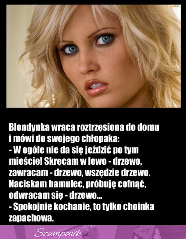 Mega kawał: Blondynka i jazda SAMOCHODEM- to nie mogło się udać :D