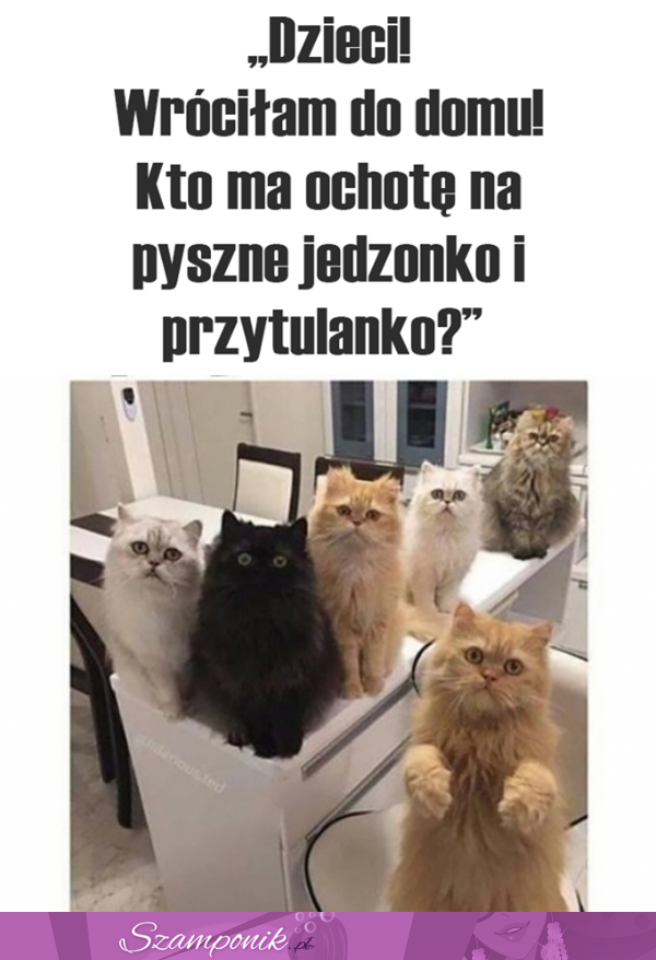 Ktoś ma ochotę?