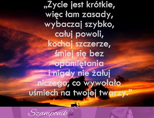 Życie jest krótkie, więc...