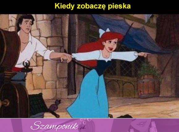 Kiedy zobaczę pieska ;)