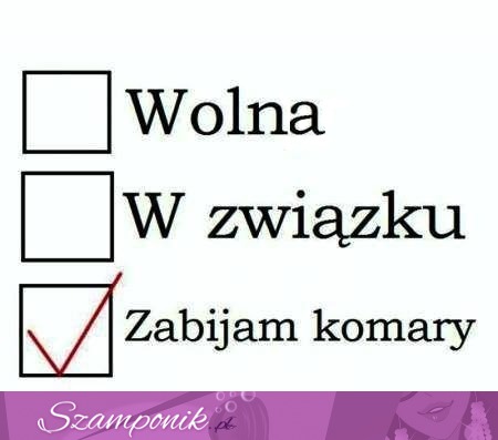 Zabijam komary!