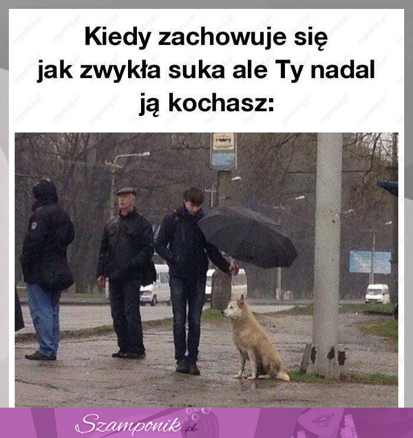 Miłość nie wybiera