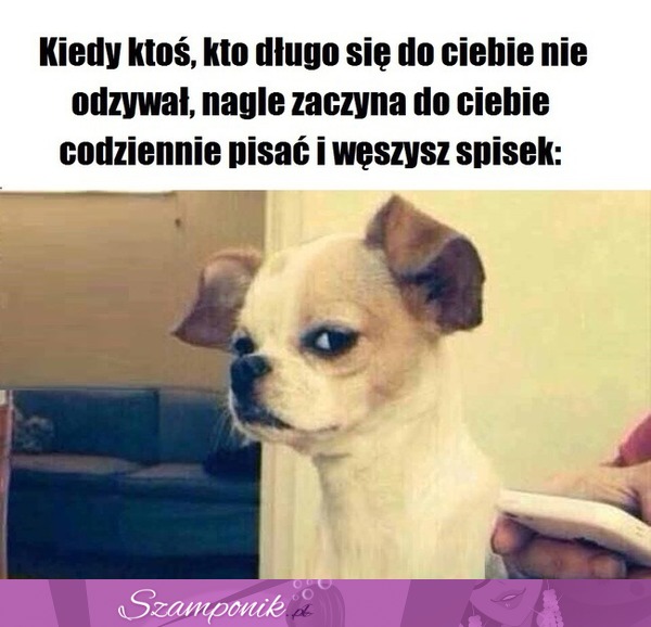 O co chodzi...