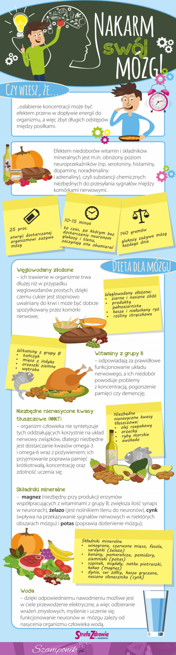 Nakarm swój mózg! Infografika...