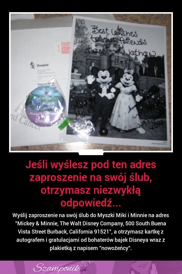 Jeśli wyślesz pod ten adres zaproszenie na swój ślub, otrzymasz niezwykłą odpowiedź