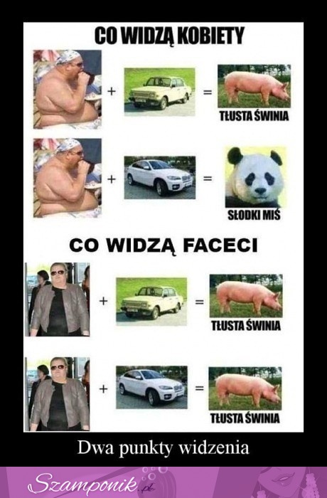 Inny punkt widzenia kobiet i mężczyzn... Zobacz różnicę!