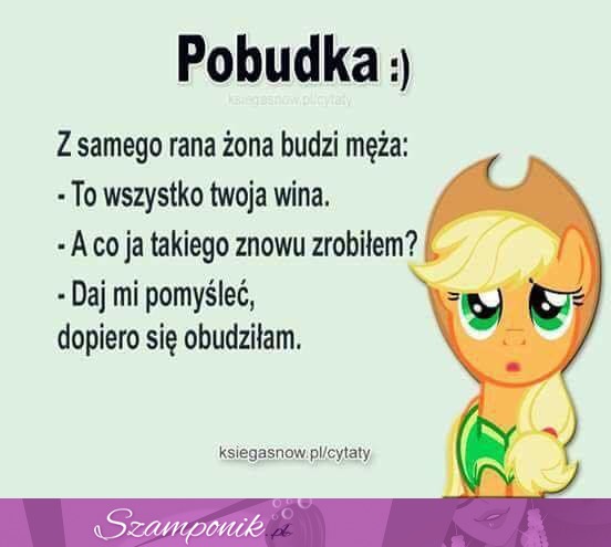 Pobudka :)