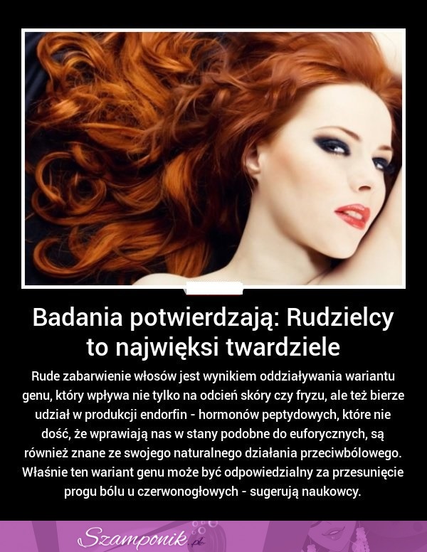 Badania potwierdzają... Rudzielcy to najwięksi TWARDZIELE!